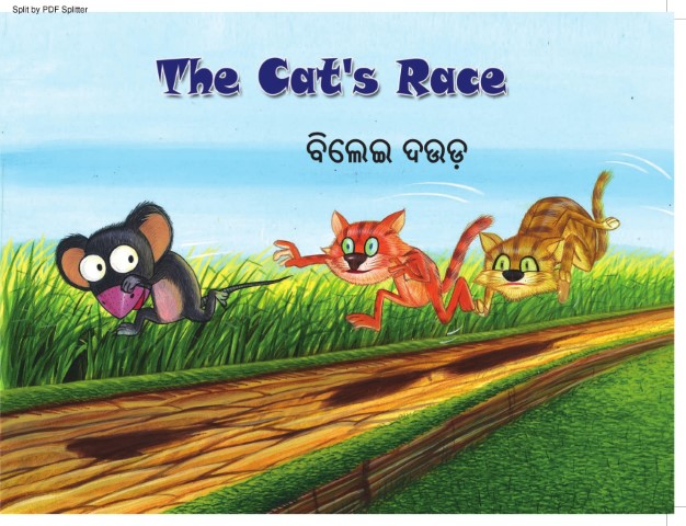 The Cat's Race